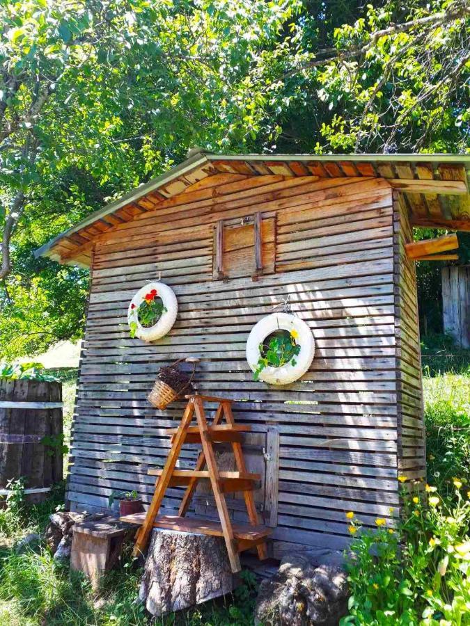Household Babovic - Old House Miljan'S Valley Andrijevica Exterior photo