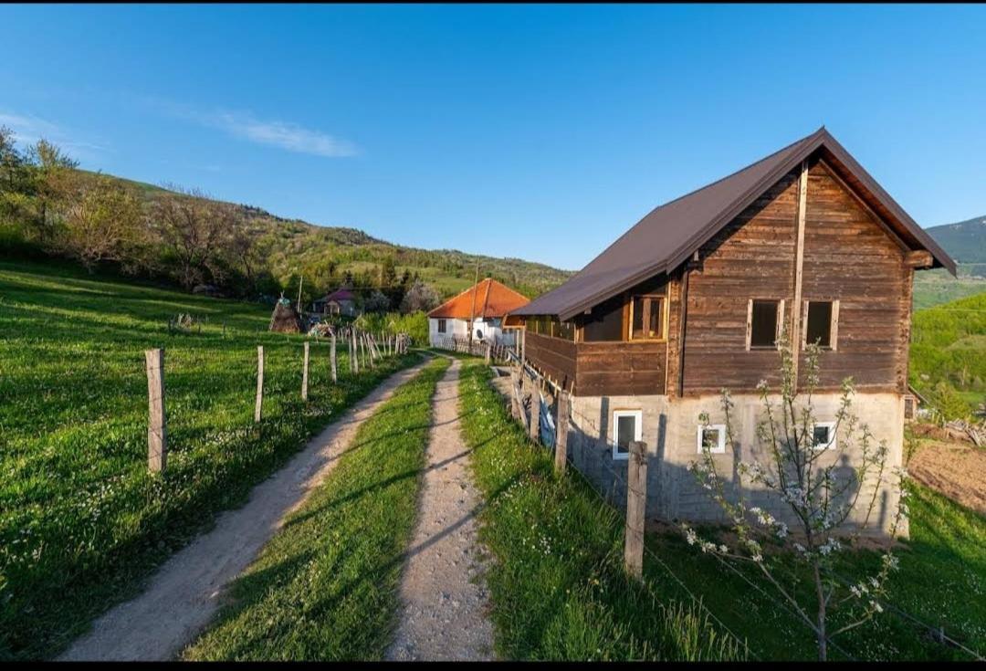 Household Babovic - Old House Miljan'S Valley Andrijevica Exterior photo